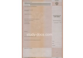 Академическая справка в Благовещенске
