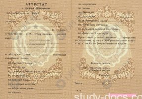 Аттестат 8 классов Аттестат 8 классов в Благовещенске