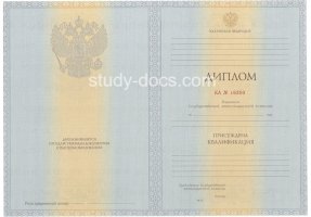 Диплом специалиста 2012-2013 в Благовещенске